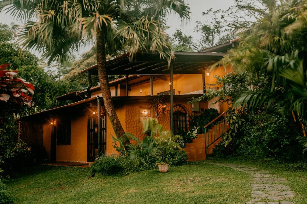 The Golden Frog Inn El Valle de Anton Dış mekan fotoğraf